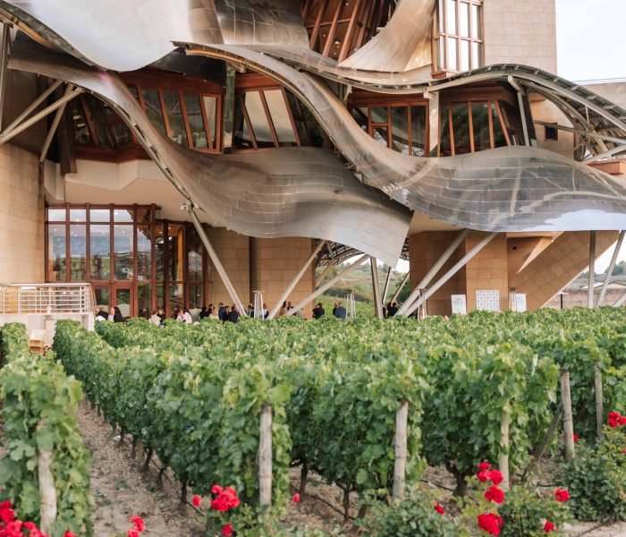 FEDERACIÓN RIOJANA DE GOLF-84